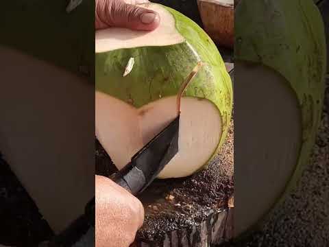 perfect coconut peeler technique Asmr #satisfyingasmr #streetfood #youtubeshorts @GatchieJr33