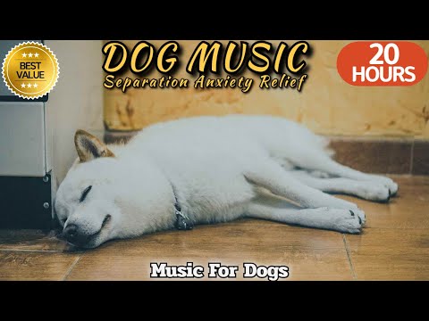 20 HOURS of Dog Calming Music🐶🎵Dog Separation Anxiety Music💖🦮Soothing Music for dogs⭐Healingmate