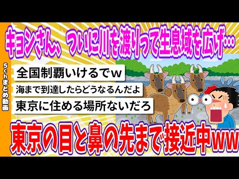 【2chまとめ】キョンさん、ついに川を渡りって生息域を広げ…東京の目と鼻の先まで接近中www【面白いスレ】