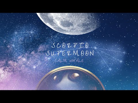 Handpan & Gongs Meditation ♏ Scorpio SuperMoon Transformation | Calm Whale