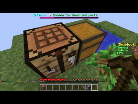 Skyblock Ep 1: New beginning