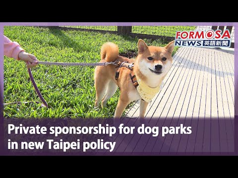 Private sponsorship for dog parks in new Taipei policy｜Taiwan News