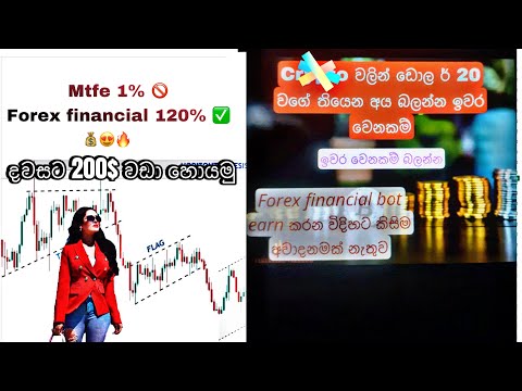 Mtfe Money Back News 2024 | Crypto Investment High Profit 120% Without Risk Esay Method financial