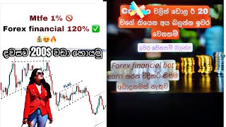 Mtfe Money Back News 2024 | Crypto Investment High Profit 120% Without Risk Esay Method financial