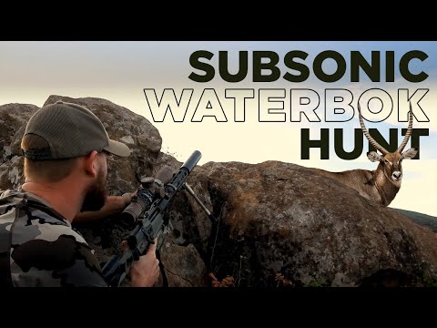 Q  |  8.6 BLK  | Subsonic Waterbok Hunt