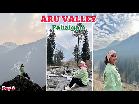 Pahalgam every point is scenic 😍 | Track in Aru Valley 🥶 #kashmirvalley #pahalgam #aruvalley #vlog