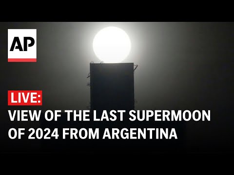 LIVE: View of the last supermoon of 2024 from Argentina