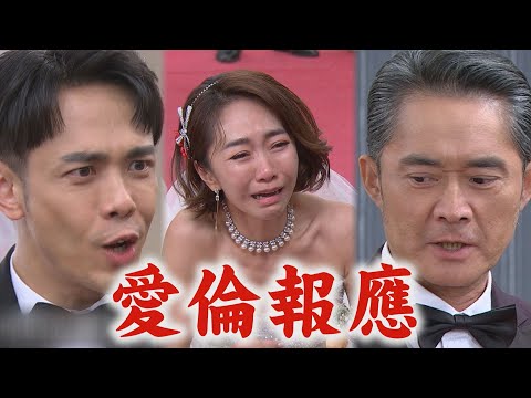 【願望】EP89預告 愛倫大報應!美妍終於站出來當證人 高家再出事!誰領便當了...?│完全娛樂