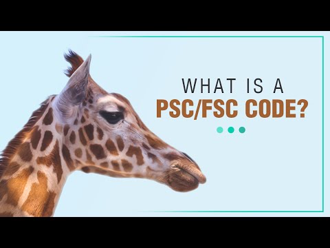 PSC vs. FSC Codes: Everything You Need to Know for Government Contracts