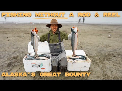 How I got a YEARS worth of food in 3 HOURS | Alaska Salmon Harvest