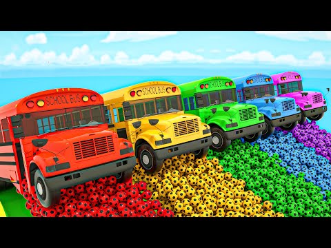 Wheels On the Bus + Baby Shark - School bus and colorful balls - Baby Nursery Rhymes & Kids Songs