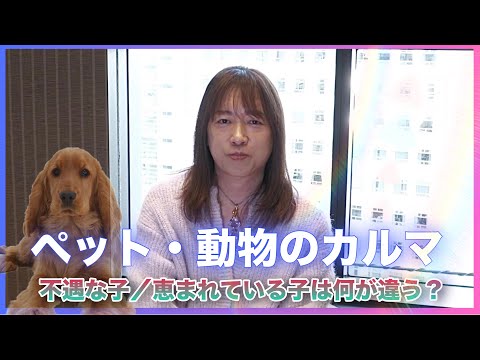 並木良和:ペット・動物のカルマ／不遇な子と恵まれている子は何が違うのか／カルマは体験