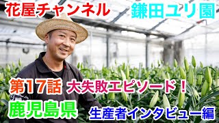 【花屋チャンネル】良い百合を作るにはお金がかかる⁉️生産者インタビュー‼️鹿児島県の百合農家‼️鎌田洋平さんの開業話#鎌田ユリ園#百合農家#オリエンタル#百合#鹿児島#鎌田洋平#生産者#ユリ