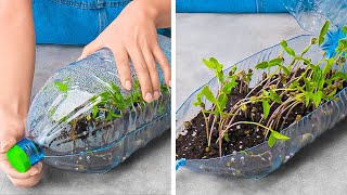 Unusual Hacks For Growing Plants Anywhere 🌱 || Gardening Tips & Hacks For Beginners 🌼