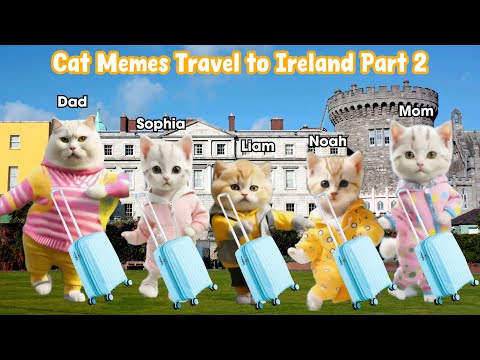 Cat Memes Travel to Ireland Part 2