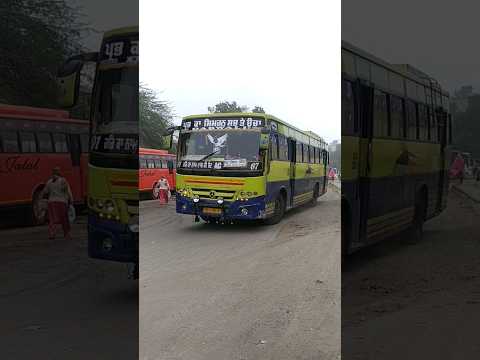 dabwali transport company 🥀🥀 Ludhiana to bathinda 🥀🥀 amazing bus shorts 🥀🥀 buses of bathinda 🥀🥀 #bus