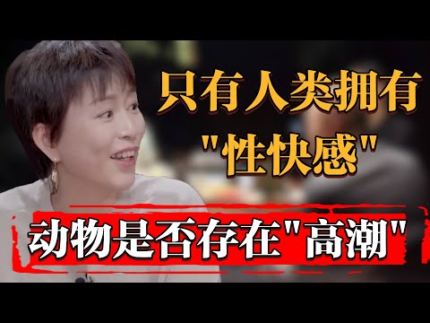 人類是唯一會產生“性快感”的物種？動物是否存在“高潮”？#中国 #纪实 #时间 #窦文涛 #马未都  #圆桌派 #观复嘟嘟 #历史 #文化 #聊天