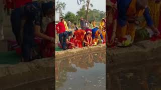 Uga ye surujdeva##viralshorts ##chhathpuja2022