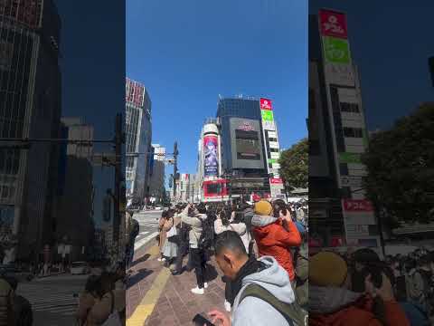 Shibuya Crossing#video#japan#travel#japantravel#shibuya#trending#trendingshorts