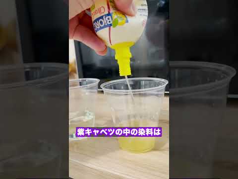 紫キャベツの実験！#実験 #科学 #ショート