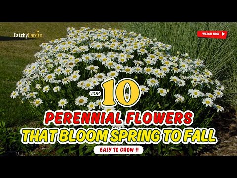 TOP 10 Long FLOWERING Plants That Bloom from SPRING, SUMMER and FALL 🌼🍃 (EASY to GROW)