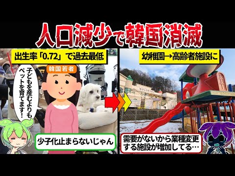 地球から消滅する最初の国と研究機関が予測している韓国の実態【ずんだもん＆ゆっくり解説】