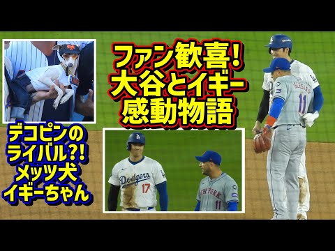 歓喜‼️大谷とイグレシアスがリーグ優勝決定シリーズの塁上で…🥹デコピンのライバル登場!😆 【現地映像】ポストシーズンNLCS10/13vsメッツ第1戦ShoheiOhtani