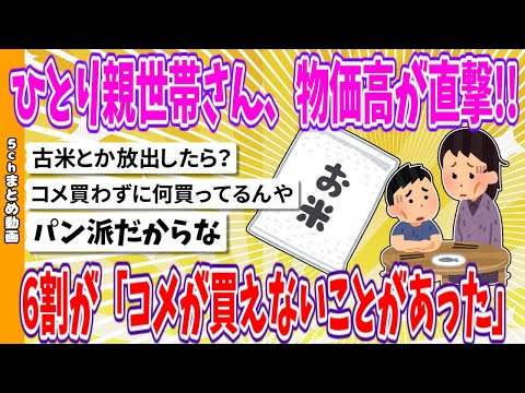 【2chまとめ】ひとり親世帯さん、物価高が直撃!!6割が「コメが買えないことがあった」【ゆっくり】