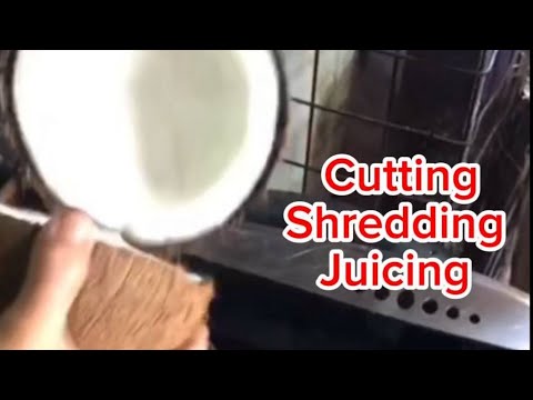 🟢 CUTTING, SHREDDING & JUICING  Coconut | ASMR