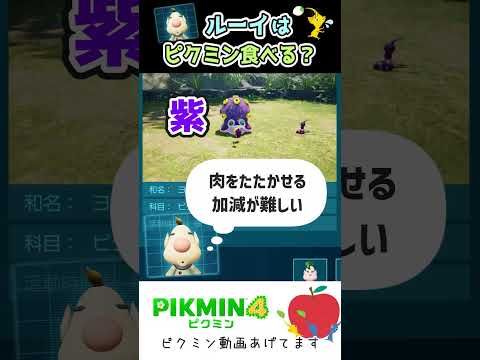 【ピクミン】ルーイはピクミンたちをどう思ってるの？　#Shorts #ピクミン