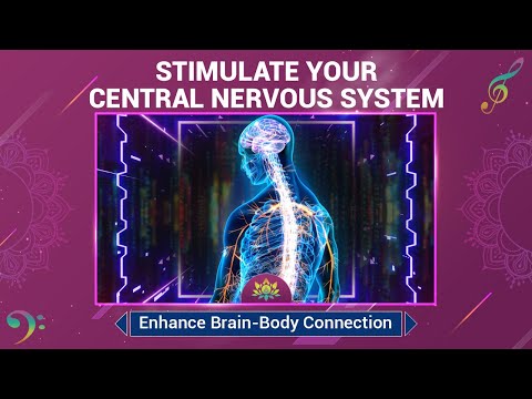 Stimulate Your Central Nervous System - Sharpen Your Mind - Enhance Brain-Body Connection - 528 Hz