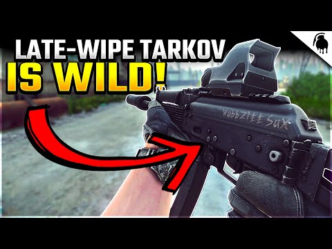 Another AVERAGE week of Tarkov - Tarkov Gameplay Highlights