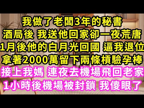 我做了老闆3年的秘書酒局後 我送他回家卻一夜荒唐，1月後他的白月光回國 逼我退位，拿著2000萬留下兩條槓驗孕棒，接上我媽 連夜去機場飛回老家，1小時後機場被封鎖 我傻眼了#甜寵#灰姑娘#霸道總裁