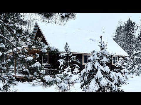 Winter Snowstorm Hits Our Off Grid Cabin In Northern Minnesota