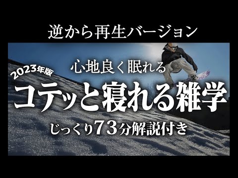 【逆から再生】コテッと眠れる雑学【リラックス】いつもより深い睡眠を♪