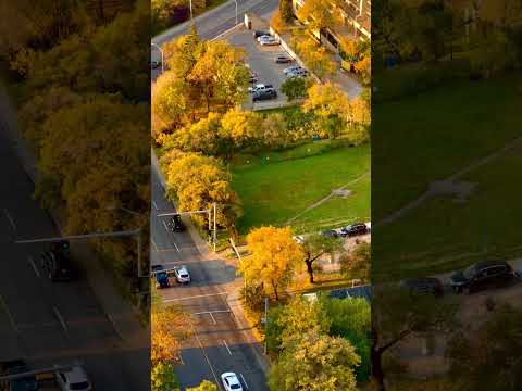 Autumn in Edmonton: A Symphony of Colours in Downtown & River Valley 🍁🏞️ #EdmontonFallEscapade