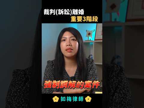 法院裁判（訴訟）離婚程序怎麼跑？#訴請離婚 #離婚訴訟 #監護權 #扶養費  #夫妻剩餘財產分配 #法律 #律師 #如梅律師