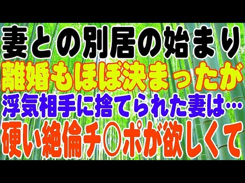 【スカッとする話】妻との別居の始まり。離婚もほぼ決まったが、浮気相手に捨てられた妻は…