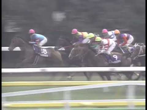 ヤマニンゼファー 1992年 第42回安田記念(GI) (優勝馬：ヤマニンゼファー)