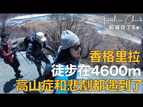 奧菠去旅行｜EP5今日沒馬的悲劇，徒步到海拔4600m！稻城亞丁～防疫在家重新回顧