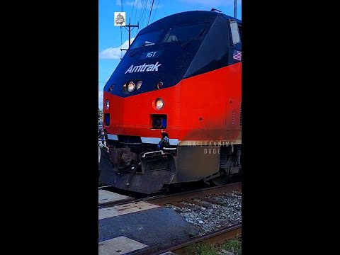 Majestic Amtrak Capitol Limited Journey Union Station, Washington DC to Chicago, IL #shorts