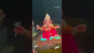 #love #ganpatibappamory #cute #ganeshbappa #festival #ganpatizone #vlog #ganeshostav #marathi #ganga