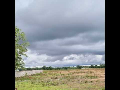 Near Bastar university Campus | tujhe chahta hu kyun | cover song | Feeling Nature #Barish