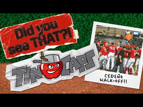 Did You See THAT?! | 8/16/23 TinCaps Walkoff HR