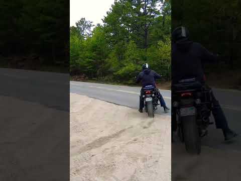 Aftermarket Exhaust Sound on the Harley Pan America TOCE