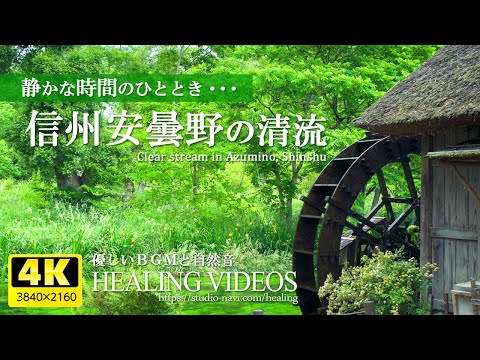 Healing BGM and fresh green Shinshu Azumino clear stream 4 hours / quiet time ...