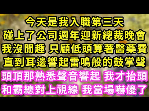 今天是我入職第三天，碰上了公司週年迎新總裁晚會，我沒閒趣 只顧低頭算著醫藥費，直到耳邊響起雷鳴般的鼓掌聲，頭頂那熟悉聲音響起 我才抬頭，和霸總對上視線 我當場嚇傻了#甜寵#灰姑娘#霸道總裁#愛情#婚姻