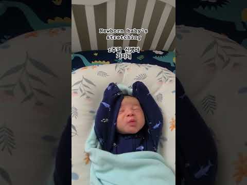 Newborn baby's stretching 신생아 기지개 #newbornbaby #cutebaby #캐나다일상