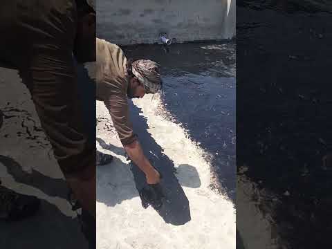 Roof treatment #youtubeshorts #bitumen #work #construction #suggestion #ideas