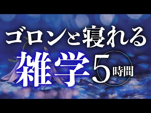 【睡眠導入】ゴロンと寝れる雑学5時間【合成音声】